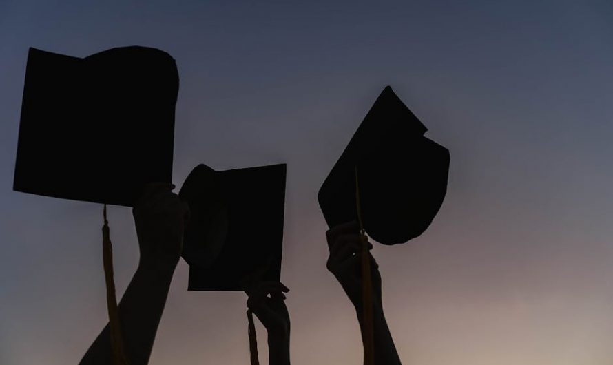 Купить диплом адвоката в Городище